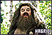 Rubeus Hagrid (Harry Potter)