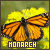 Monarch Butterflies
 button