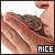 Mice button